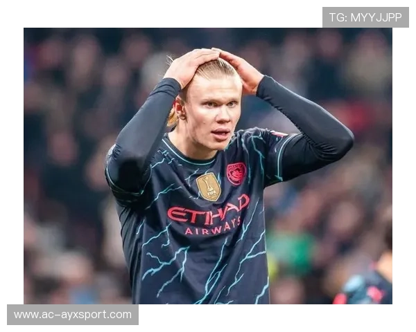 哈兰德终结能力持续稳定